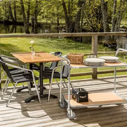 Bordsvagn 2 plan, 125 kg, Bok / Elförzinkad, KM30770-BO