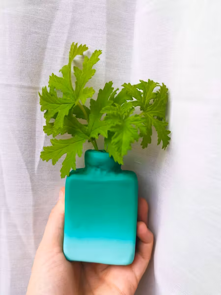 GRÖN-MINT