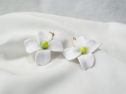 MAGNOLIA