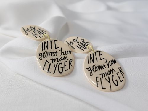 JAG HAR INTE GLÖMT HUR MAN FLYGER