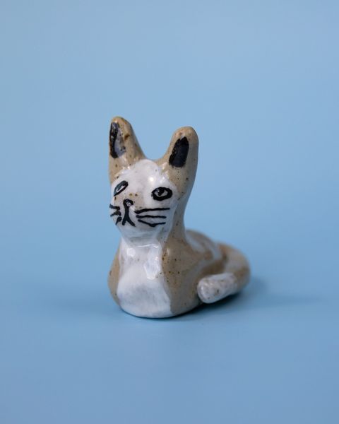 KATTEN (n°15)