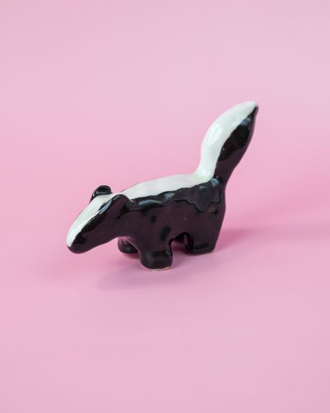SKUNKEN (n°2)