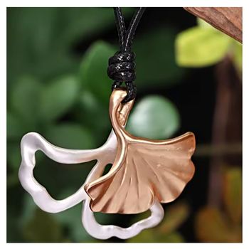 Ginkora