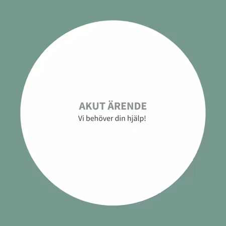 Akut ärende #001