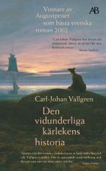 Den vidunderliga kärlekens historia (pocket)