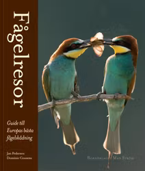 Fågelresor - Guide till Europas bästa fågelskådning