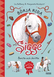 Börja rida med Sigge - Borsta och skritta