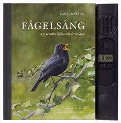 Fågelsång