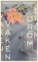 Vaken dröm