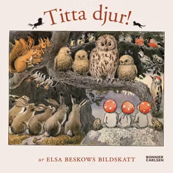 Titta djur!