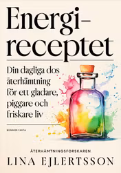 Energireceptet