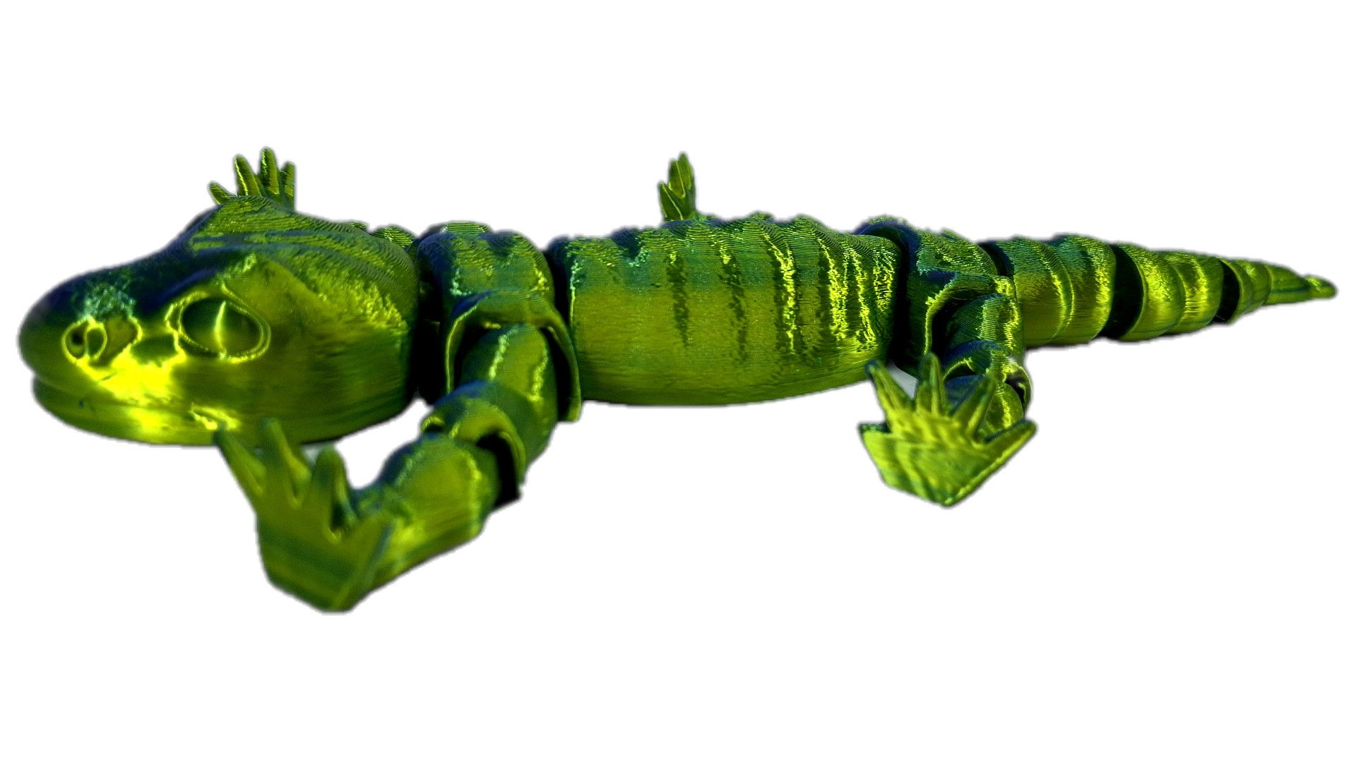Salamander