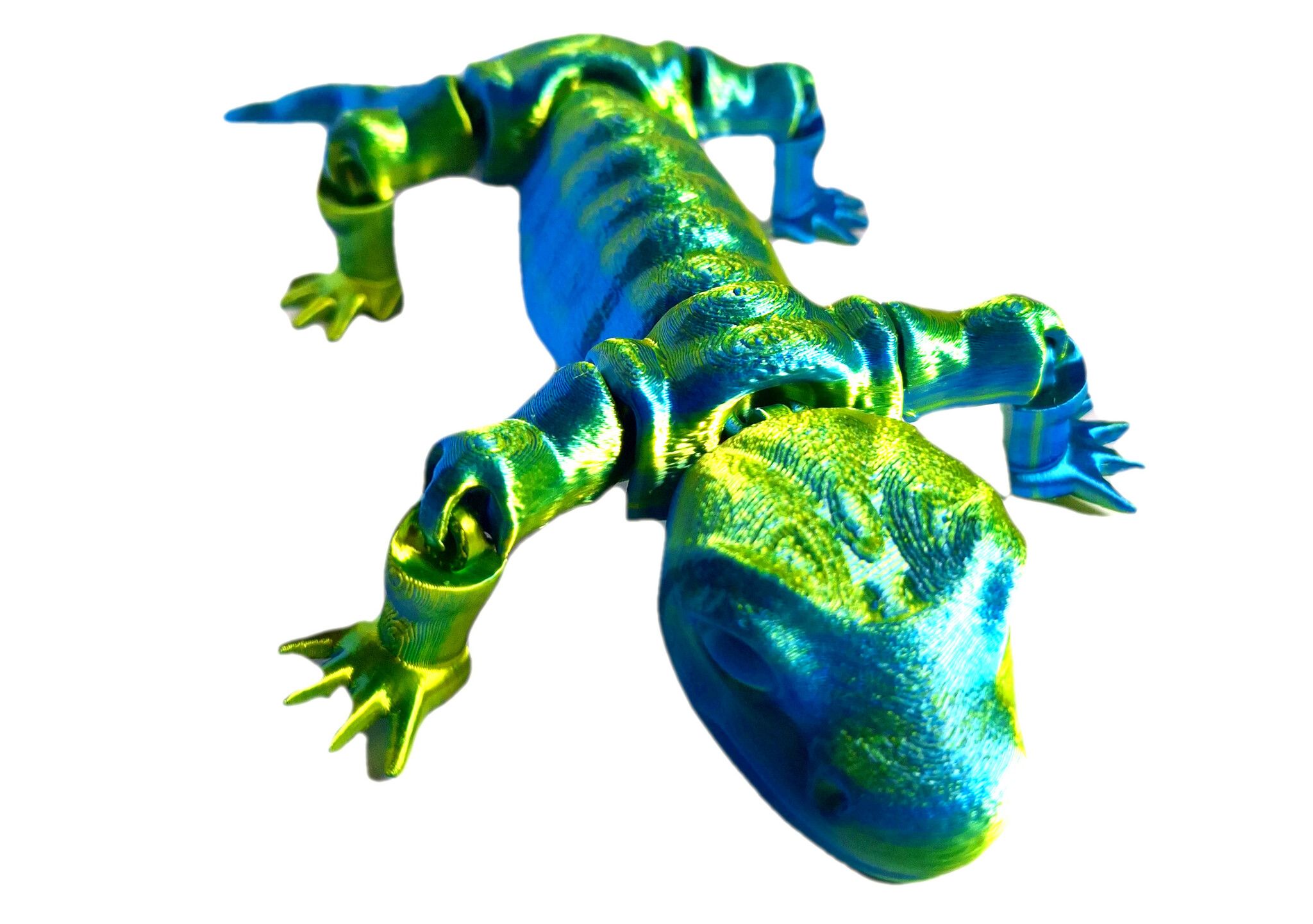 Salamander