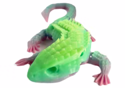 Agama