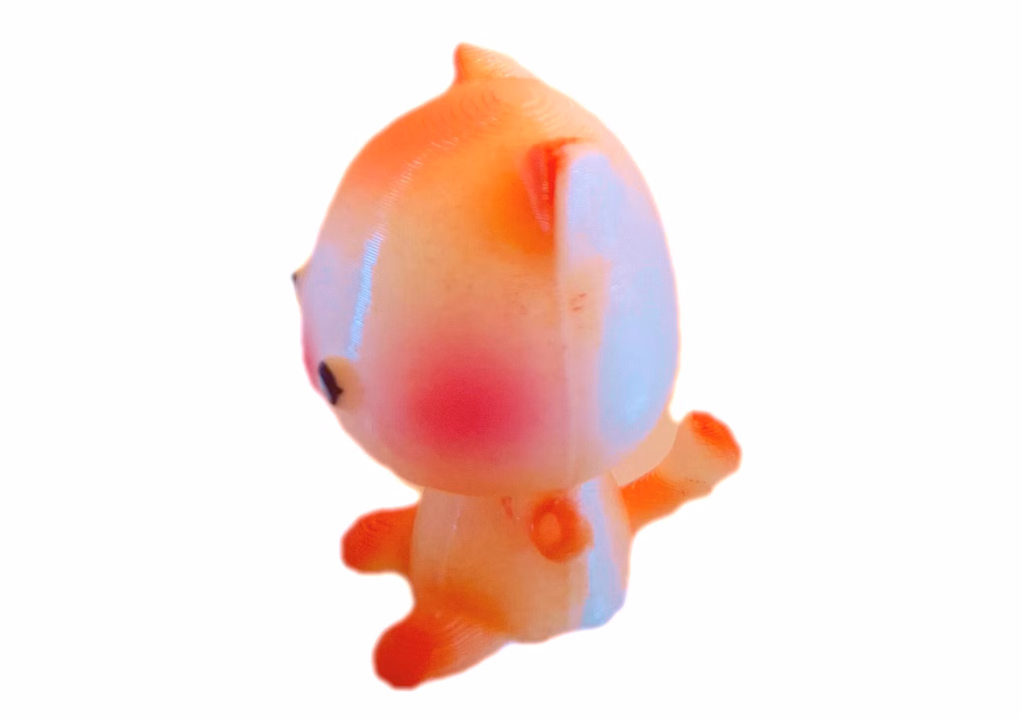 Kattkompis