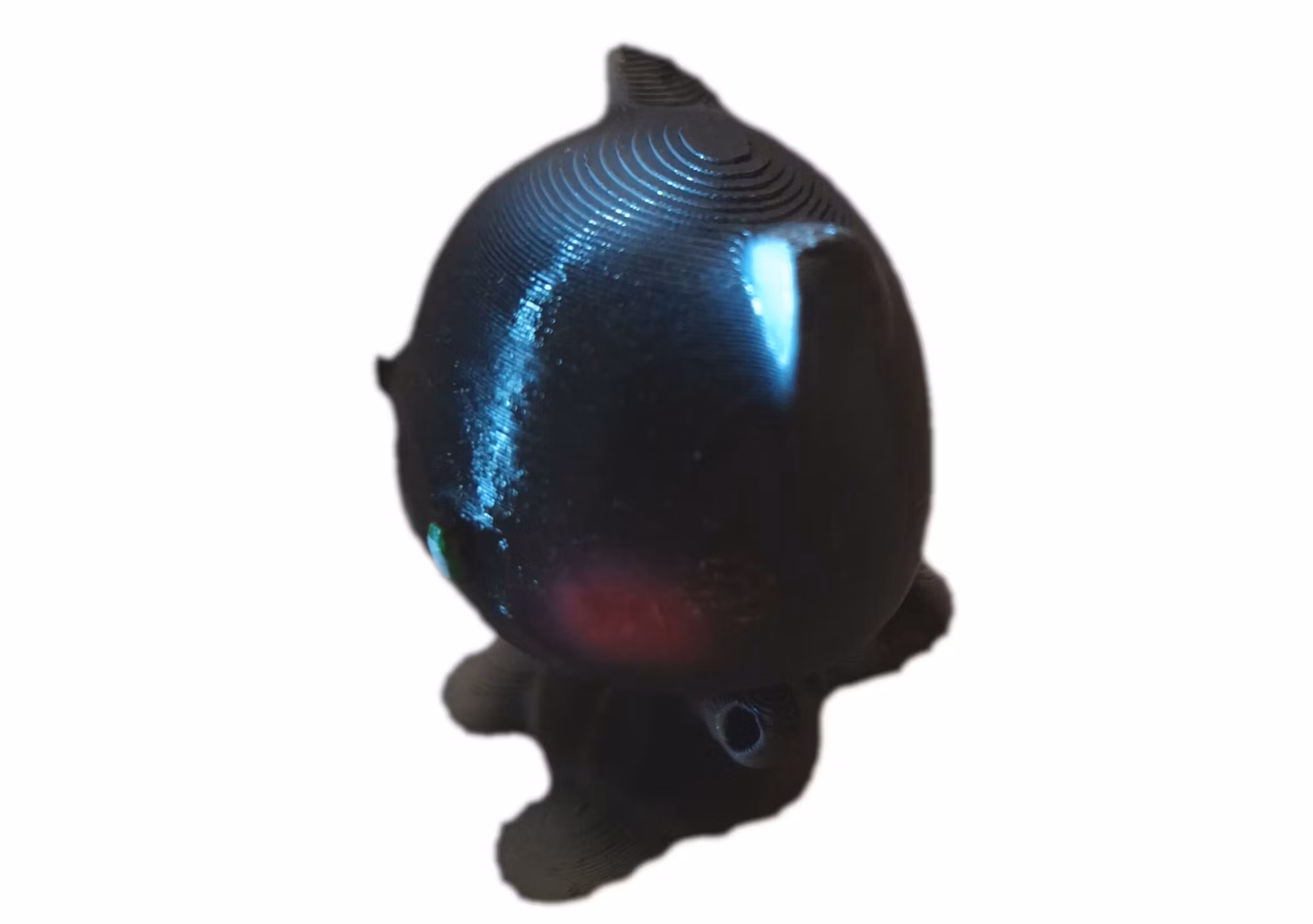 Kattkompis