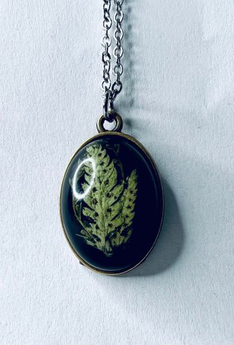Little Leaf