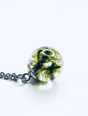 Mystic Moss