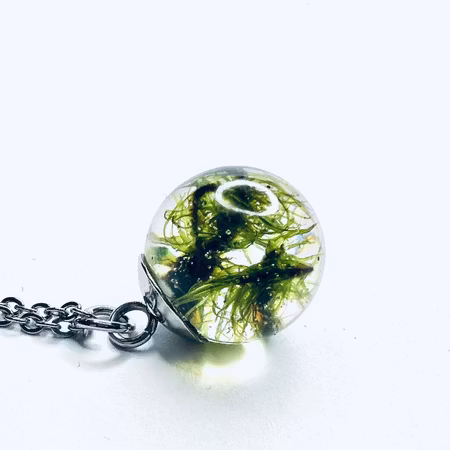 Mystic Moss