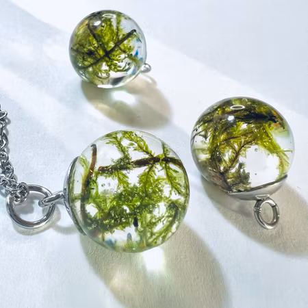 Mystic Moss