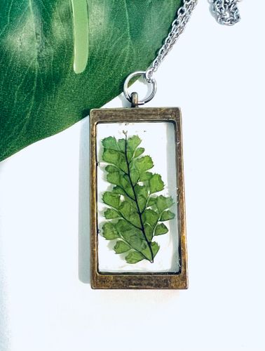 Framed leaf