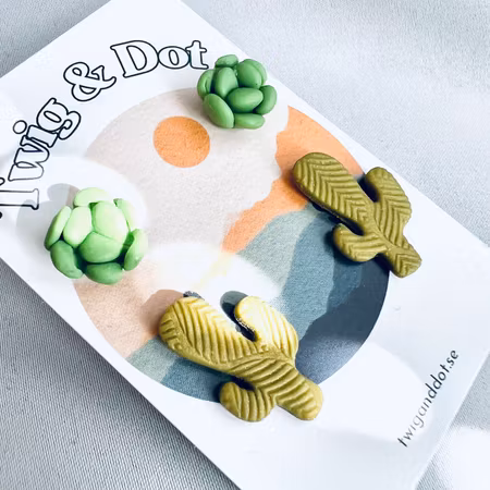 Leafy Cactus + Succulent Pachy