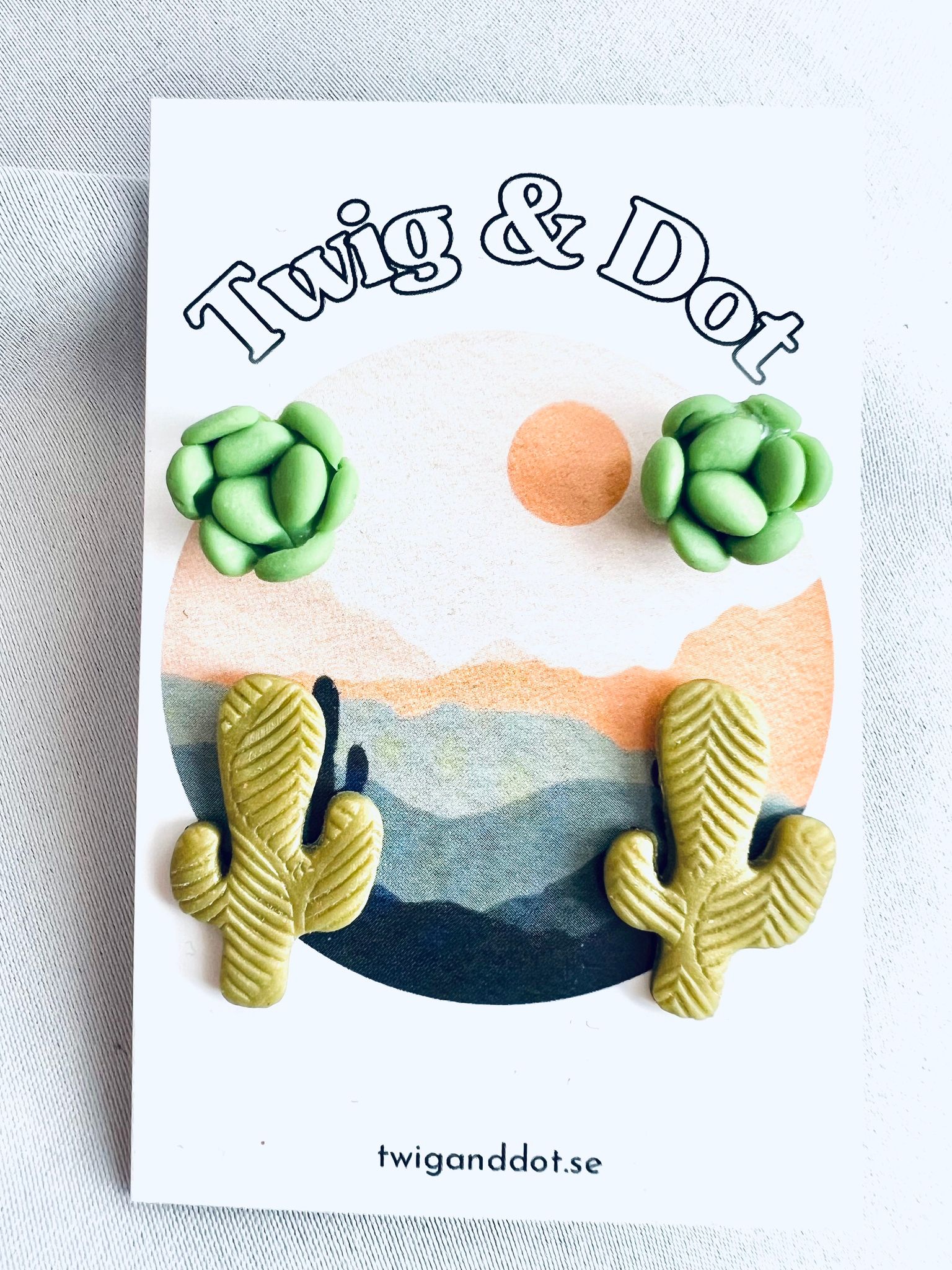 Leafy Cactus + Succulent Pachy