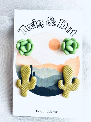 Leafy Cactus + Succulent Pachy