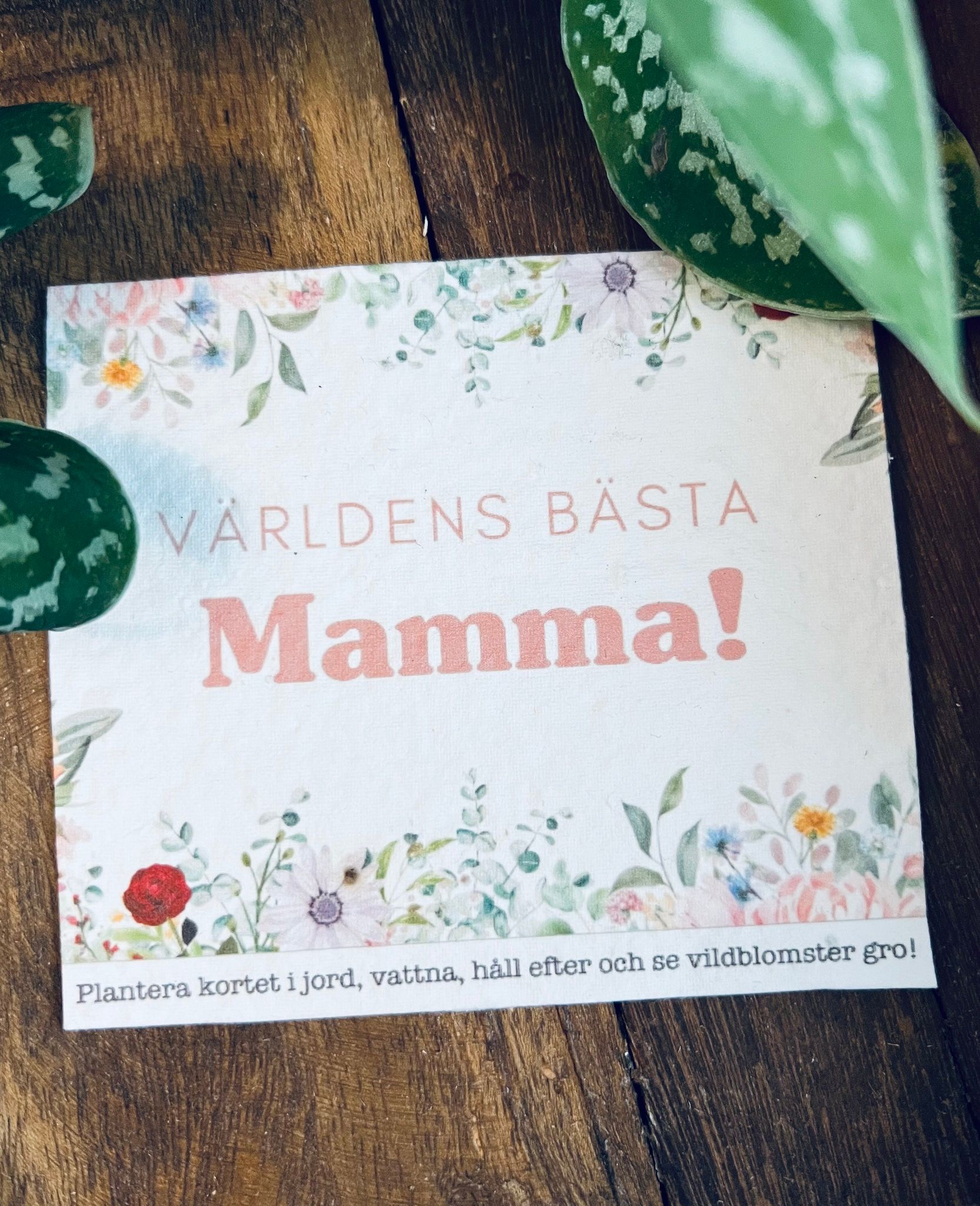 Planterbart frökort - Världens bästa mamma!