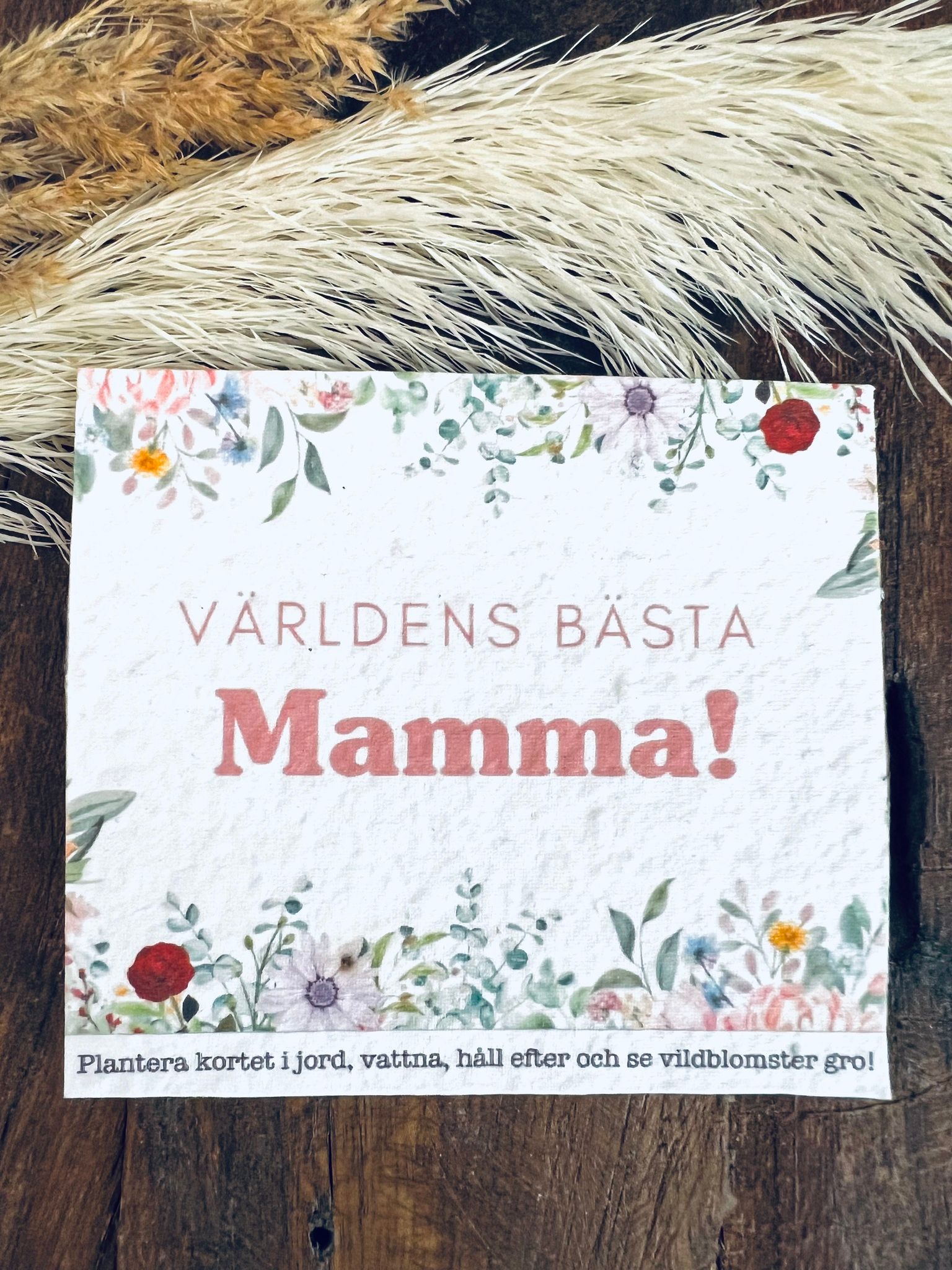 Planterbart frökort - Världens bästa mamma!