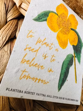 Planterbart frökort - To plant a seed
