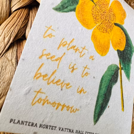Planterbart frökort - To plant a seed