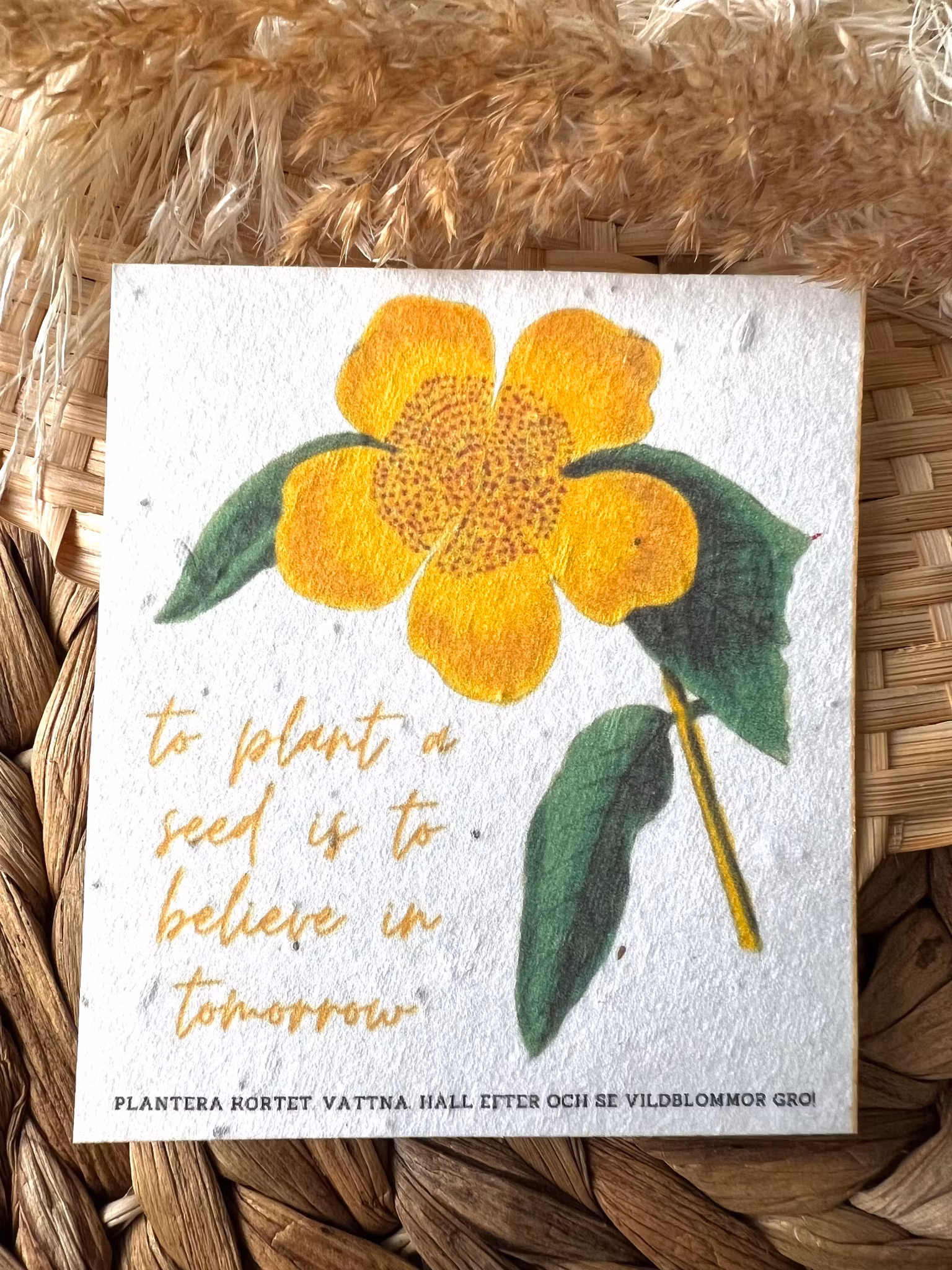 Planterbart frökort - To plant a seed