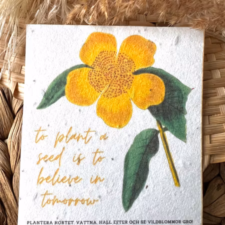 Planterbart frökort - To plant a seed