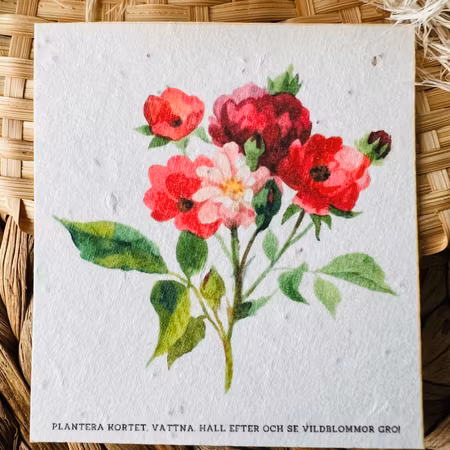 Planterbart frökort - Vildros