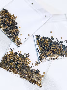 Fröpåse + litet kort - Lärare sår frön som växer för evigt!