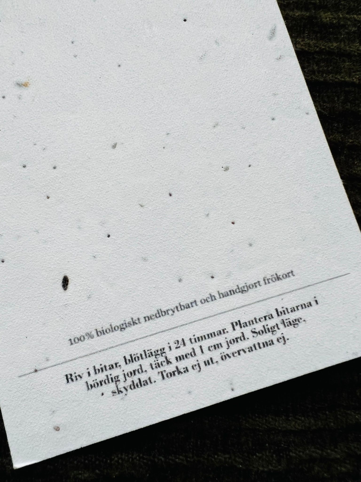 Planterbart frökort - Grattis! - Stort kort