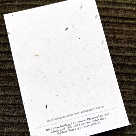 Planterbart frökort - Grattis! - Stort kort