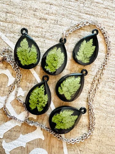 Dark Fern