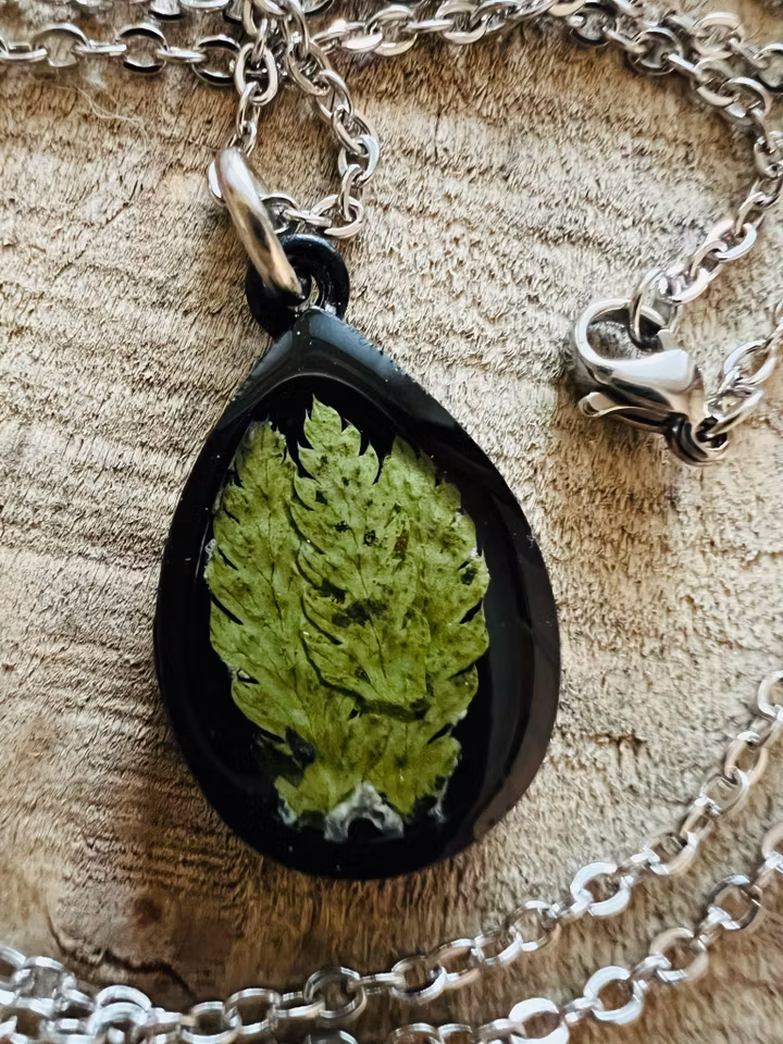 Dark Fern