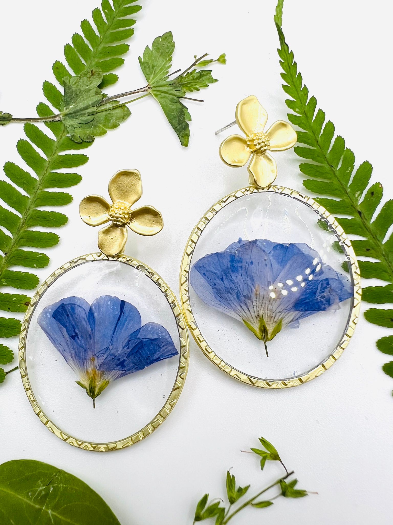 Fleur bleue