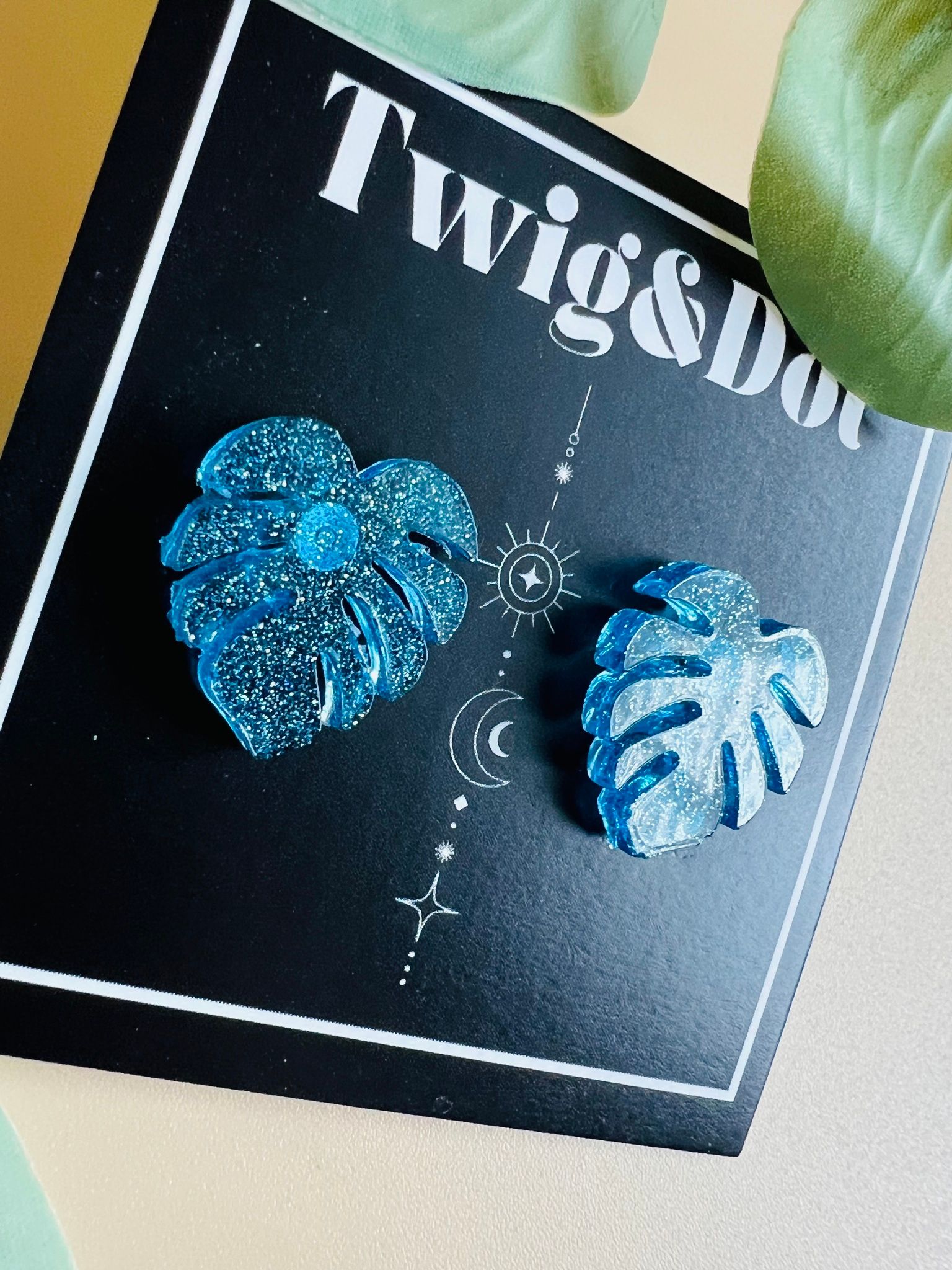 Mini Monstera Midnight stars