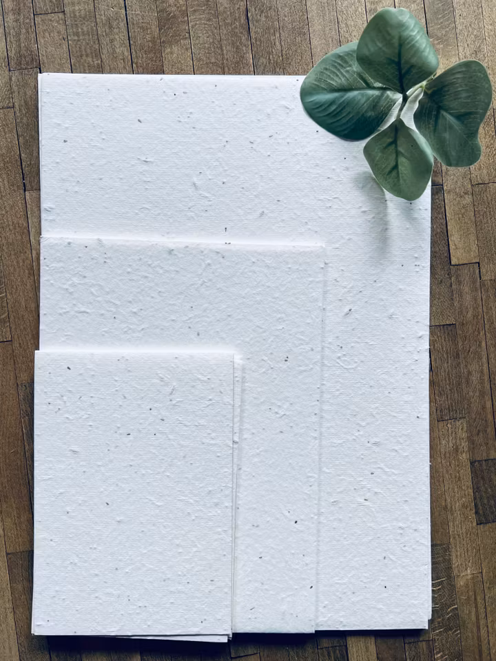 Planterbart fröpapper - olika storlekar