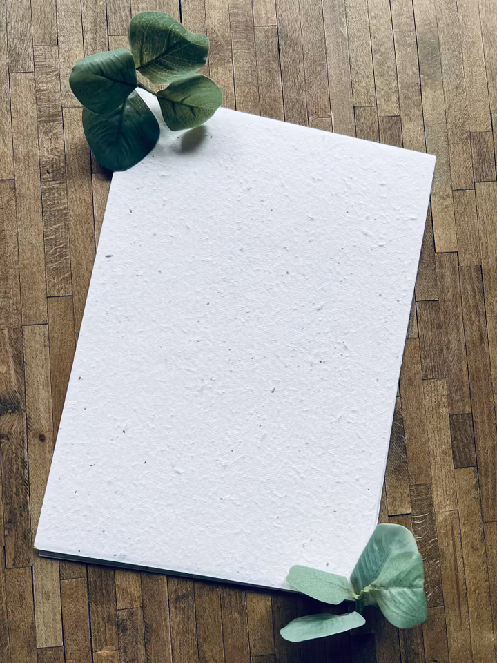 Planterbart fröpapper - olika storlekar