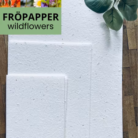 Planterbart fröpapper - olika storlekar