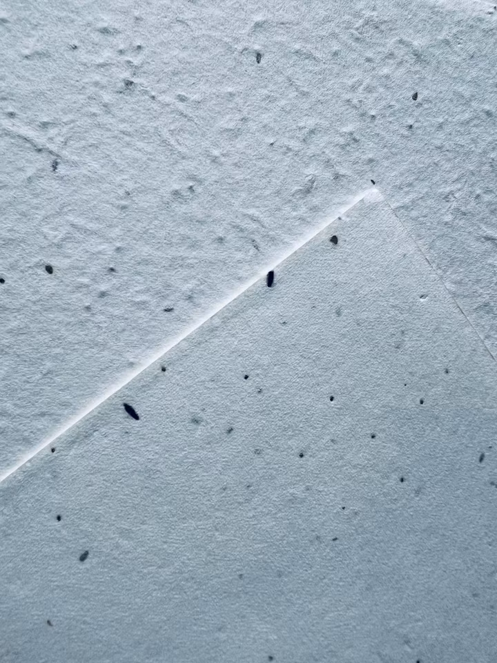 Planterbart fröpapper - olika storlekar