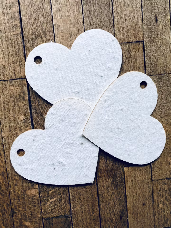 Planterbart fröpapper - hjärtan