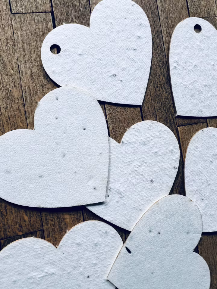 Planterbart fröpapper - hjärtan