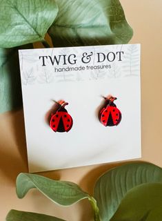 Ladybug