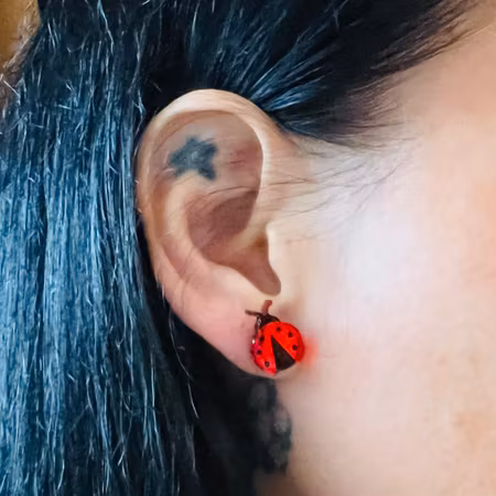 Ladybug